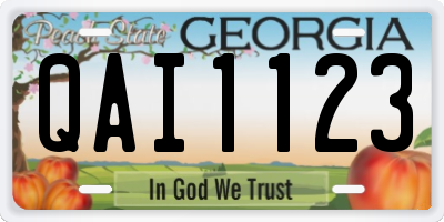GA license plate QAI1123