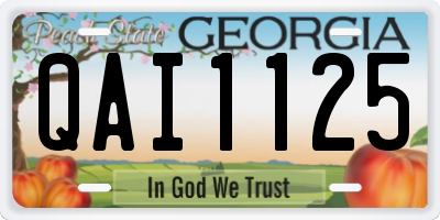 GA license plate QAI1125