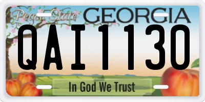 GA license plate QAI1130