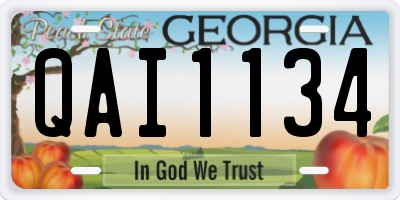 GA license plate QAI1134