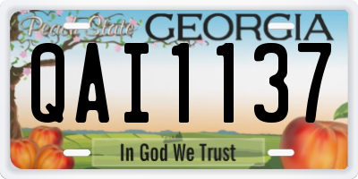 GA license plate QAI1137