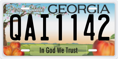 GA license plate QAI1142
