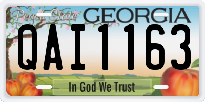 GA license plate QAI1163
