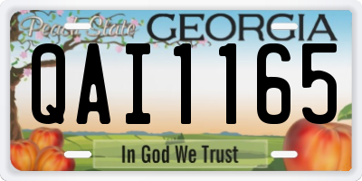 GA license plate QAI1165