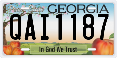 GA license plate QAI1187