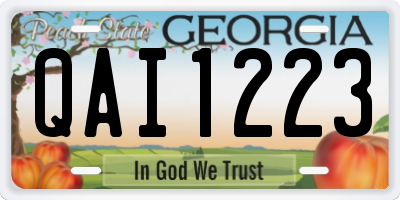 GA license plate QAI1223
