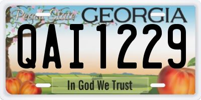 GA license plate QAI1229