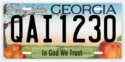 GA license plate QAI1230