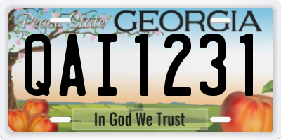 GA license plate QAI1231