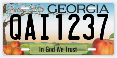 GA license plate QAI1237