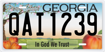 GA license plate QAI1239