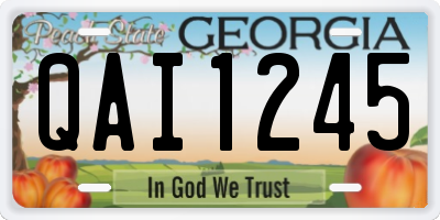 GA license plate QAI1245