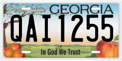 GA license plate QAI1255
