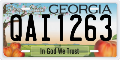 GA license plate QAI1263