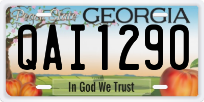 GA license plate QAI1290