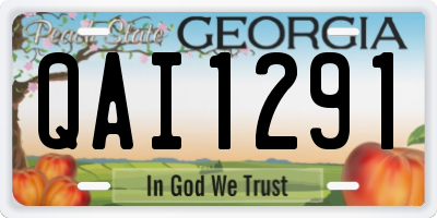 GA license plate QAI1291