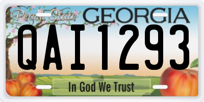 GA license plate QAI1293