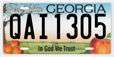 GA license plate QAI1305