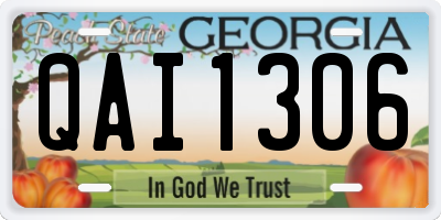 GA license plate QAI1306
