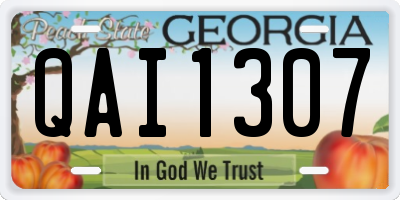 GA license plate QAI1307