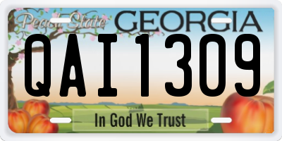 GA license plate QAI1309