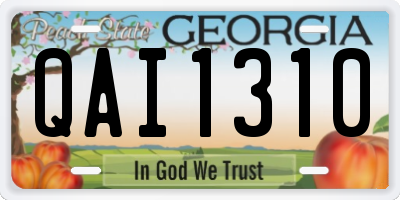 GA license plate QAI1310