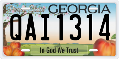 GA license plate QAI1314