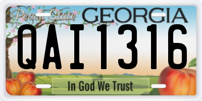 GA license plate QAI1316