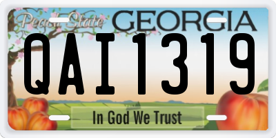 GA license plate QAI1319