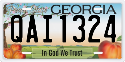 GA license plate QAI1324