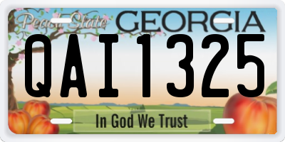 GA license plate QAI1325