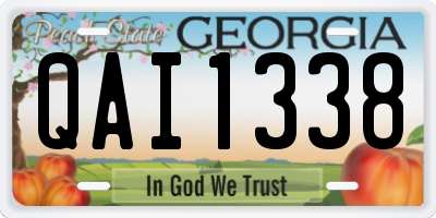 GA license plate QAI1338