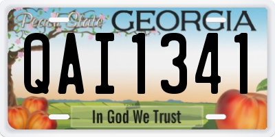 GA license plate QAI1341