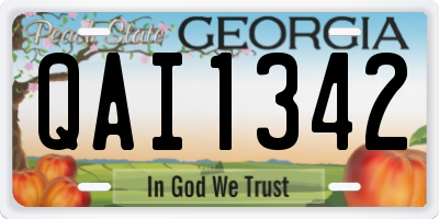 GA license plate QAI1342