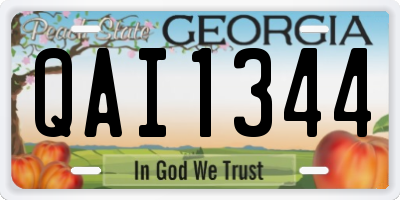 GA license plate QAI1344
