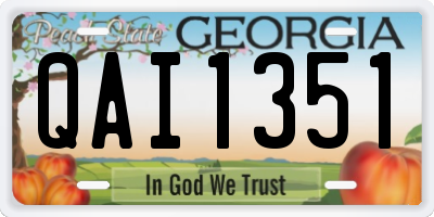 GA license plate QAI1351