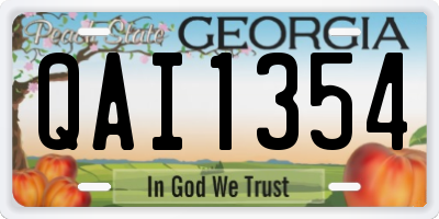 GA license plate QAI1354