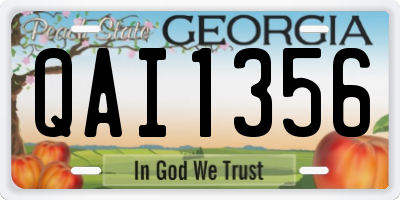 GA license plate QAI1356