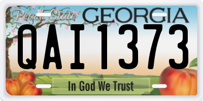 GA license plate QAI1373