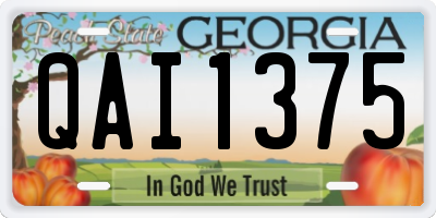 GA license plate QAI1375