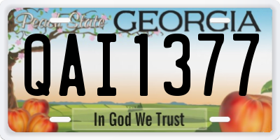 GA license plate QAI1377