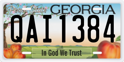 GA license plate QAI1384