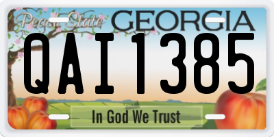 GA license plate QAI1385