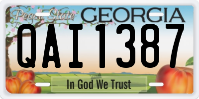 GA license plate QAI1387