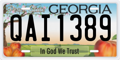 GA license plate QAI1389