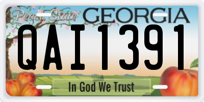 GA license plate QAI1391