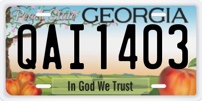 GA license plate QAI1403