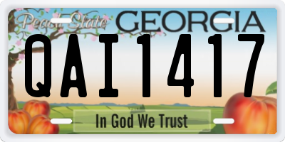 GA license plate QAI1417