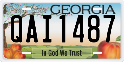 GA license plate QAI1487