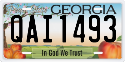GA license plate QAI1493